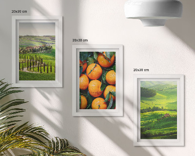 Bilderwand Italienische Landschaft mit Orangen und Natur