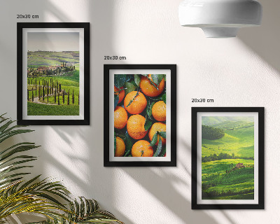 Bilderwand Italienische Landschaft mit Orangen und Natur