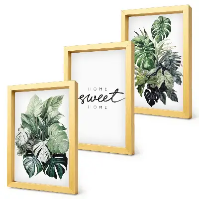 Bilderwand mit grünen Pflanzen und Schriftzug „Sweet Home“