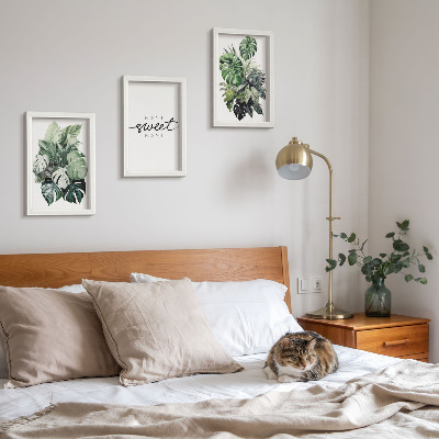 Bilderwand Grüne Pflanzen mit der Aufschrift „Sweet Home“
