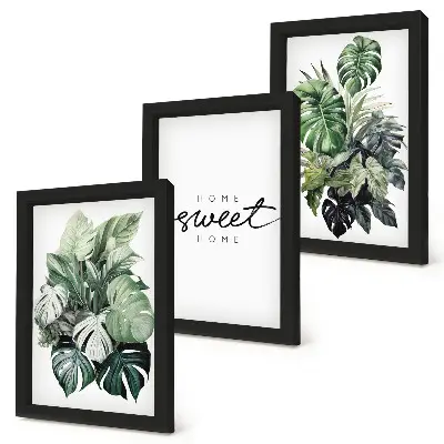 Bilderwand mit grünen Pflanzen und Schriftzug „Sweet Home“