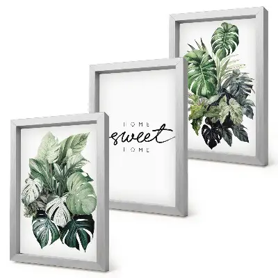 Bilderwand mit grünen Pflanzen und Schriftzug „Sweet Home“