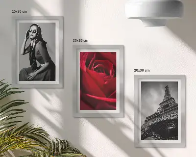 Bilderwand Pariserin mit rosafarbener Brille vor dem Eiffelturm
