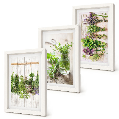 Bilderwand Trocknen von Kräutern und Pflanzen für die Küche