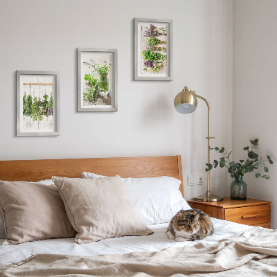 Bilderwand Trocknen von Kräutern und Pflanzen für die Küche