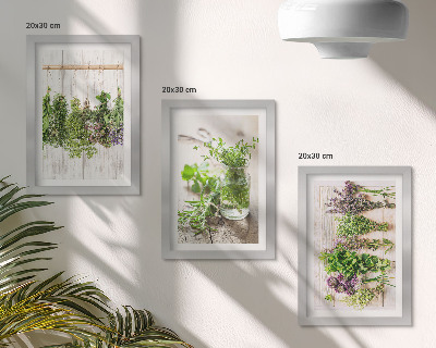 Bilderwand Trocknen von Kräutern und Pflanzen für die Küche