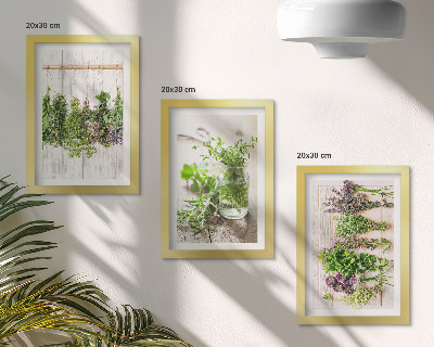 Bilderwand Trocknen von Kräutern und Pflanzen für die Küche