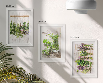 Bilderwand Trocknen von Kräutern und Pflanzen für die Küche