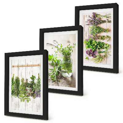 Bilderwand Trocknen von Kräutern und Pflanzen für die Küche