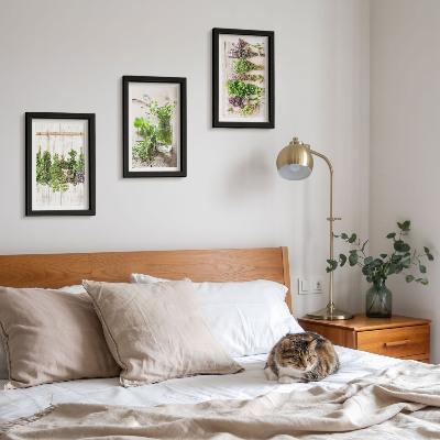 Bilderwand Trocknen von Kräutern und Pflanzen für die Küche
