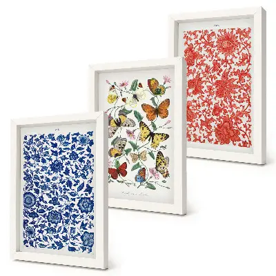 Bilderwand mit Vintage-Postern von Blumen, Schmetterlingen und Ornamenten