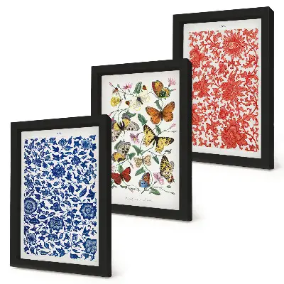Bilderwand mit Vintage-Postern von Blumen, Schmetterlingen und Ornamenten