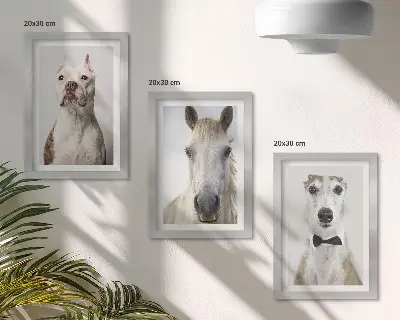 Fotowand mit interessanten Porträts von Hunden und Pferden im eleganten Stil