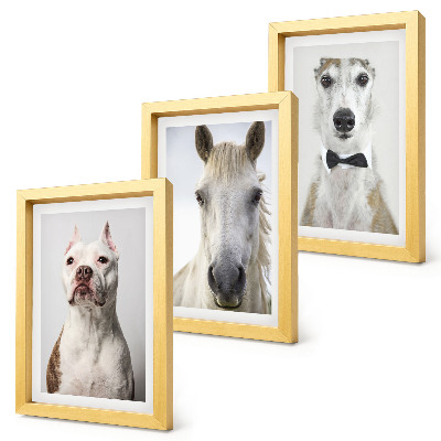 Fotowand Interessante Porträts von Hunden und Pferden in elegantem Stil