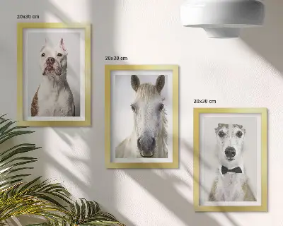 Fotowand mit interessanten Porträts von Hunden und Pferden im eleganten Stil