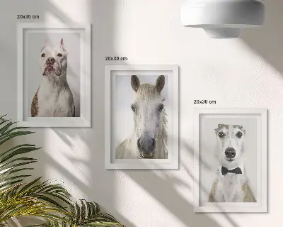 Fotowand mit interessanten Porträts von Hunden und Pferden im eleganten Stil