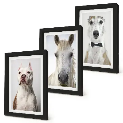 Fotowand mit interessanten Porträts von Hunden und Pferden im eleganten Stil