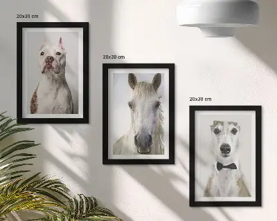 Fotowand mit interessanten Porträts von Hunden und Pferden im eleganten Stil