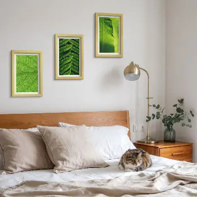 Bilderwand mit Nahaufnahmen tropischer Blätter