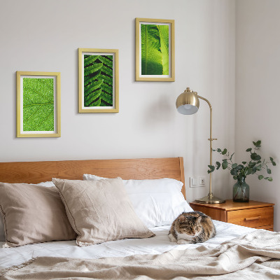 Bilderwand Nahaufnahmen von tropischen Blättern