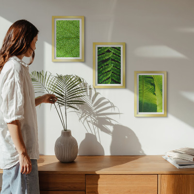 Bilderwand Nahaufnahmen von tropischen Blättern