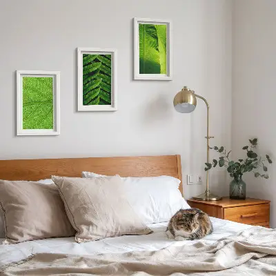 Bilderwand mit Nahaufnahmen tropischer Blätter