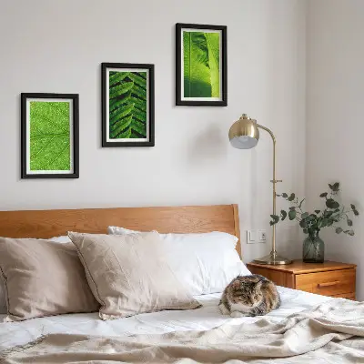 Bilderwand mit Nahaufnahmen tropischer Blätter