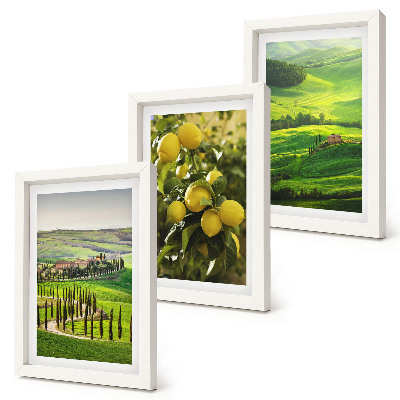 Bilderwand Italienische Landschaften mit Zitrusbäumen und grünen Hügeln