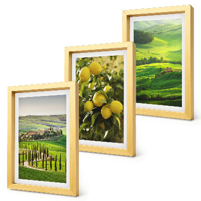 Bilderwand Italienische Landschaften mit Zitrusbäumen und grünen Hügeln