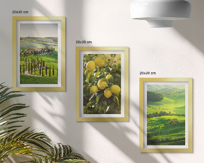 Bilderwand Italienische Landschaften mit Zitrusbäumen und grünen Hügeln