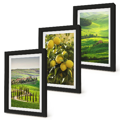 Bilderwand Italienische Landschaften mit Zitrusbäumen und grünen Hügeln