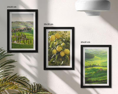 Bilderwand Italienische Landschaften mit Zitrusbäumen und grünen Hügeln