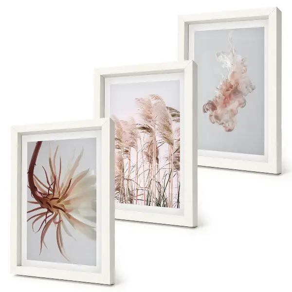 Bilderwand mit Blumen und Gräsern auf hellem Hintergrund in einem harmonischen Set