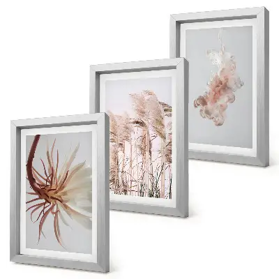 Bilderwand mit Blumen und Gräsern auf hellem Hintergrund in einem harmonischen Set
