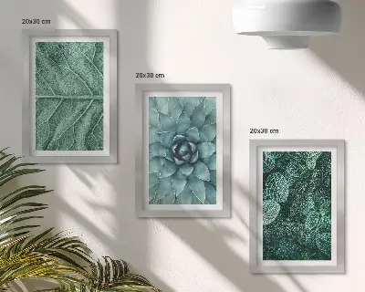 Bilderwand mit Nahaufnahmen von Sukkulenten und Blättern