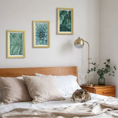 Bilderwand mit Nahaufnahmen von Sukkulenten und Blättern