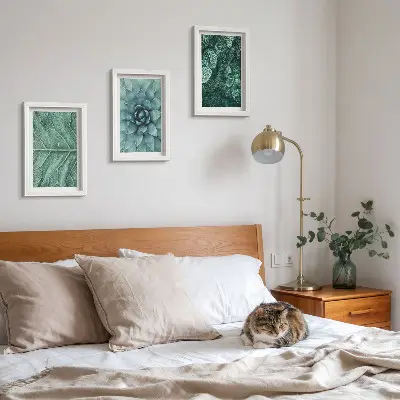Bilderwand mit Nahaufnahmen von Sukkulenten und Blättern