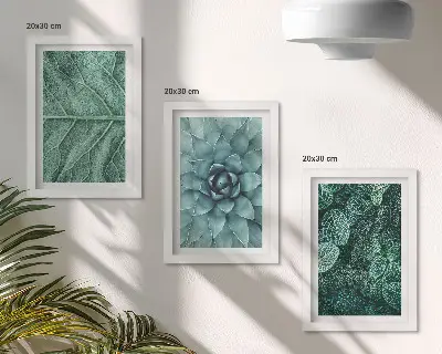 Bilderwand mit Nahaufnahmen von Sukkulenten und Blättern
