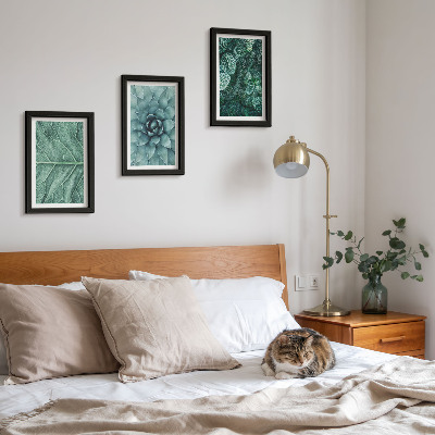 Bilderwand Nahaufnahmen von Sukkulenten und Blättern