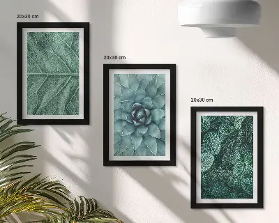 Bilderwand mit Nahaufnahmen von Sukkulenten und Blättern