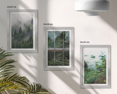 Bilderset mit rahmen Ein Wald im Nebel, ein Flussufer und ein Gewächshaus mit Pflanzen