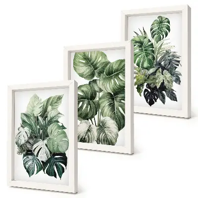 Bilderset mit Rahmen Aquarelle mit tropischen grünen Pflanzen