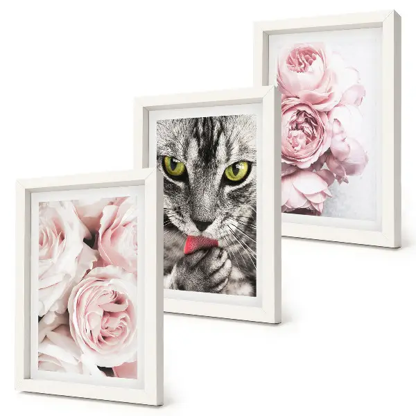 Fototapete Katze inmitten von rosa Rosen und Pfingstrosen