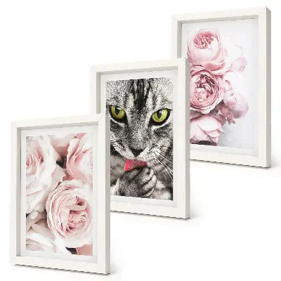 Fototapete Katze inmitten von rosa Rosen und Pfingstrosen