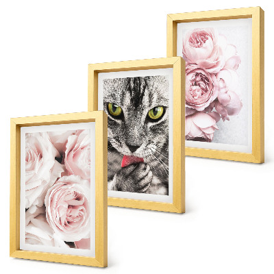 Fotowand Eine Katze inmitten rosa Rosen und Pfingstrosen