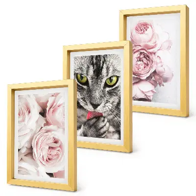 Fototapete Katze inmitten von rosa Rosen und Pfingstrosen