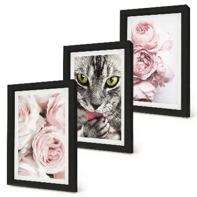 Fototapete Katze inmitten von rosa Rosen und Pfingstrosen