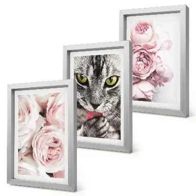 Fototapete Katze inmitten von rosa Rosen und Pfingstrosen