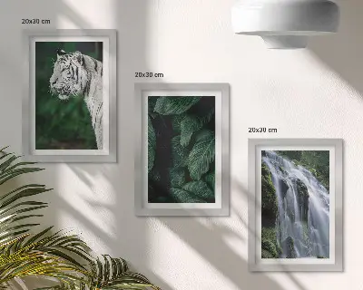 Fototapete weiße Tiger im Dschungel mit Wasserfall in natürlicher Umgebung
