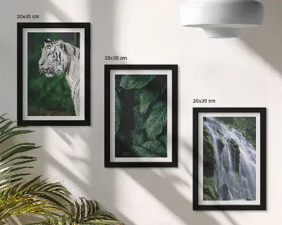 Fototapete weiße Tiger im Dschungel mit Wasserfall in natürlicher Umgebung